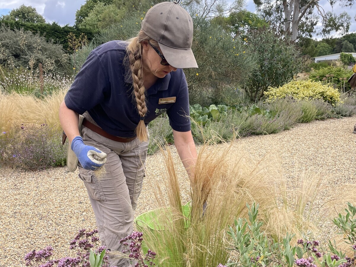 Weekly catch up with garden & propagation