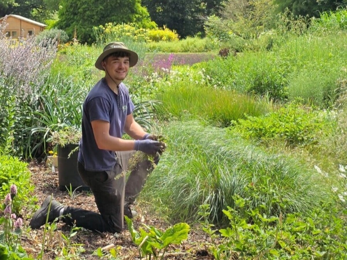 Weekly catch up with garden & propagation