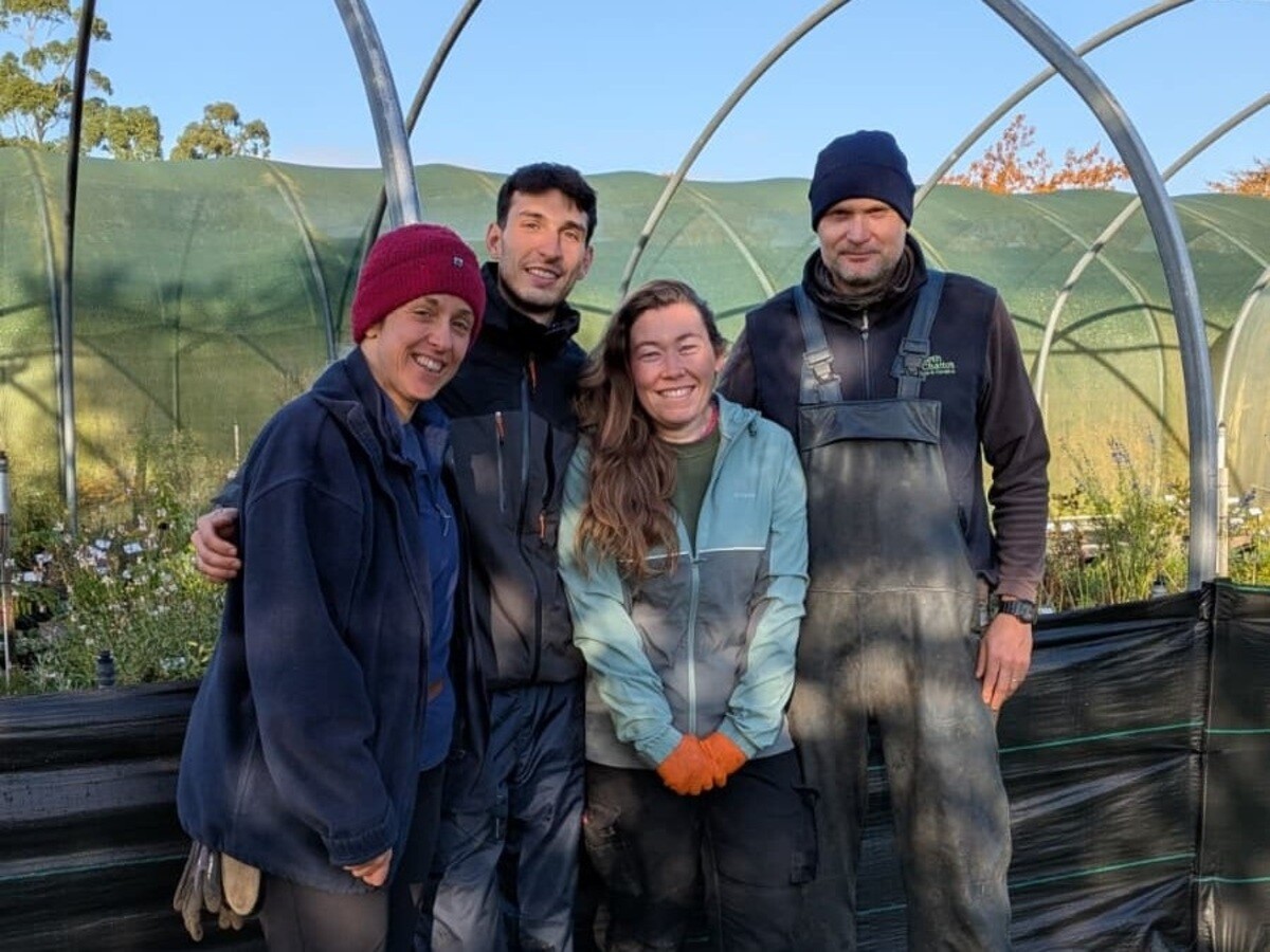 Weekly catch up with garden & propagation
