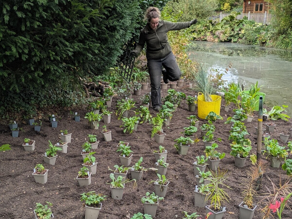 Weekly catch up with garden and propagation