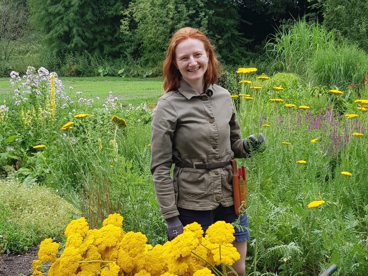 Weekly catch up with garden and propagation