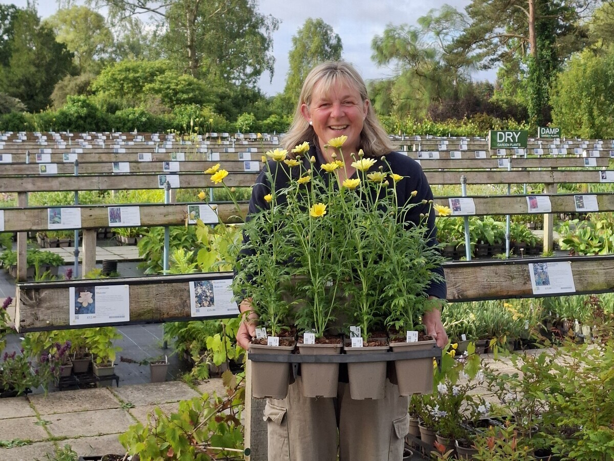 Weekly catch up with garden and propagation