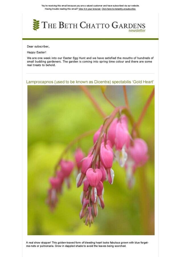 April Newsletter