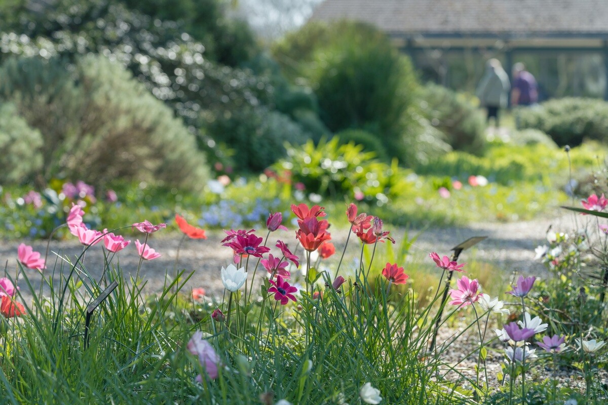 The gardens are bursting into bloom