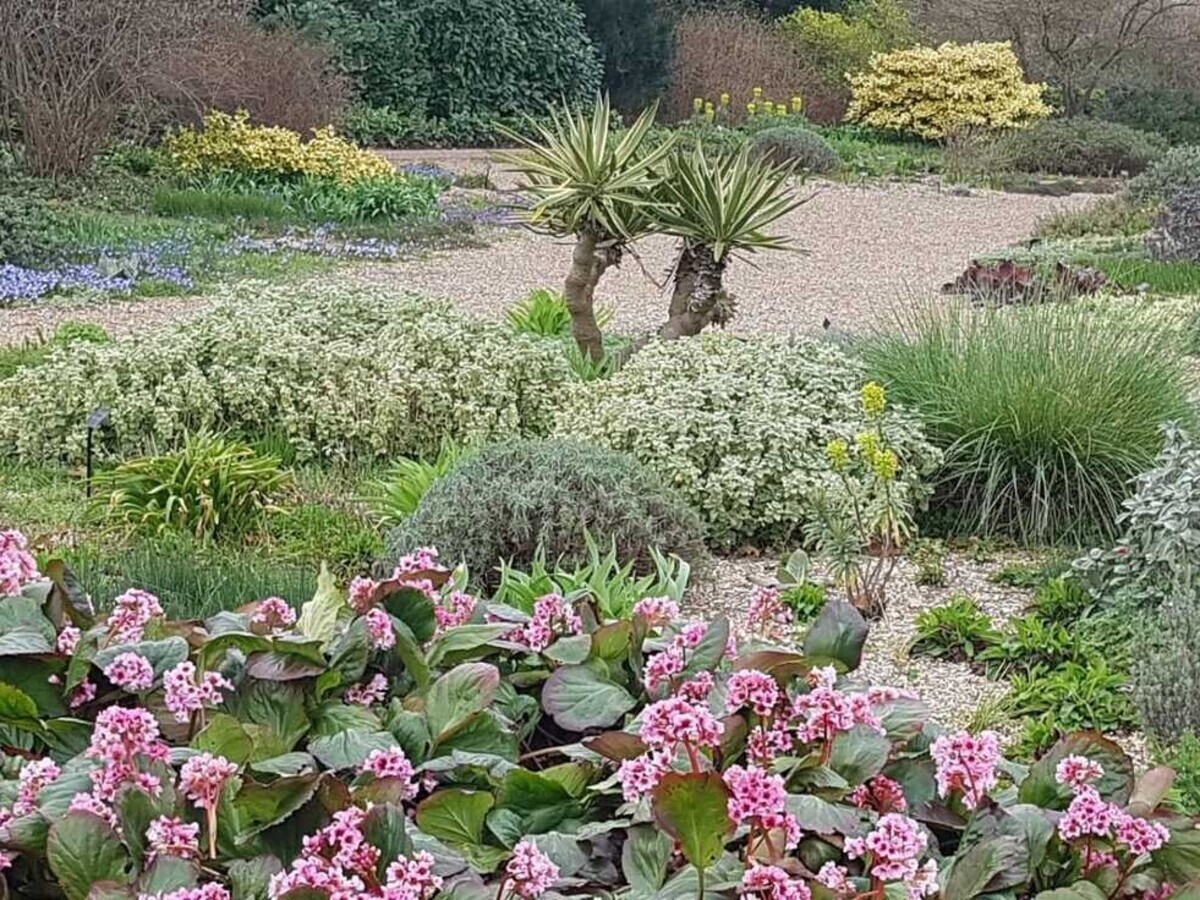 Some of our favourite plants for spring