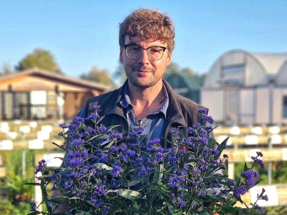 Weekly catch up with garden and propagation