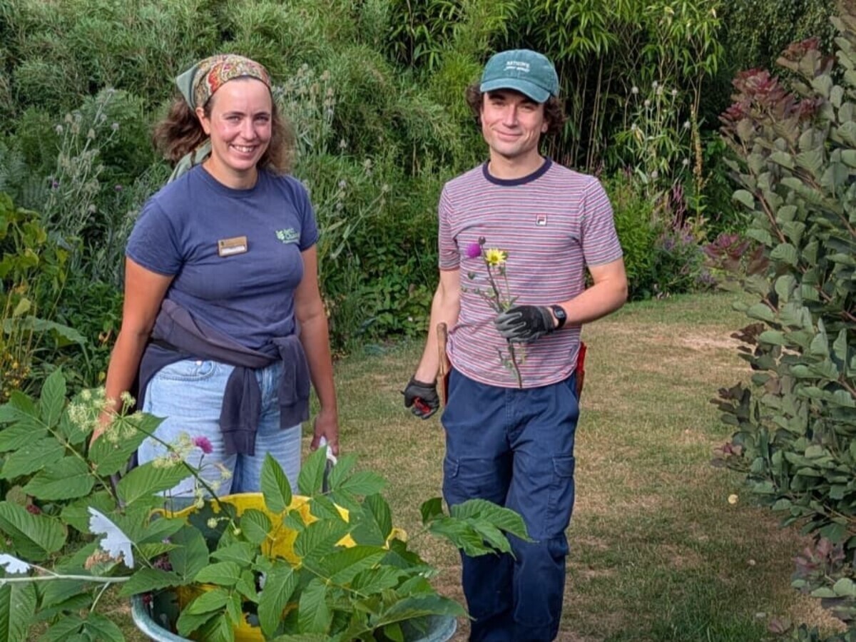 Weekly catch up with garden and propagation
