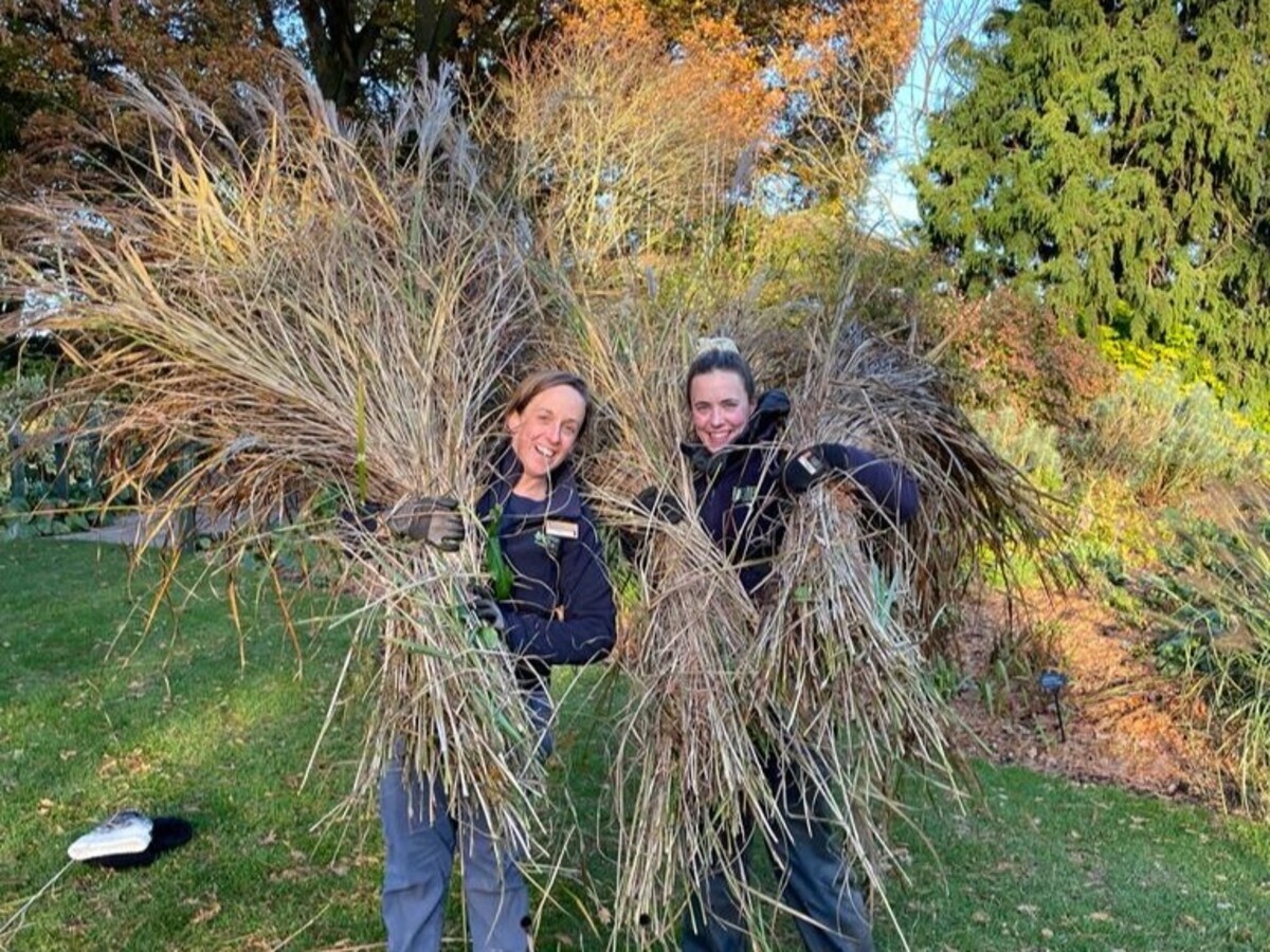 Weekly catch up with garden & propagation