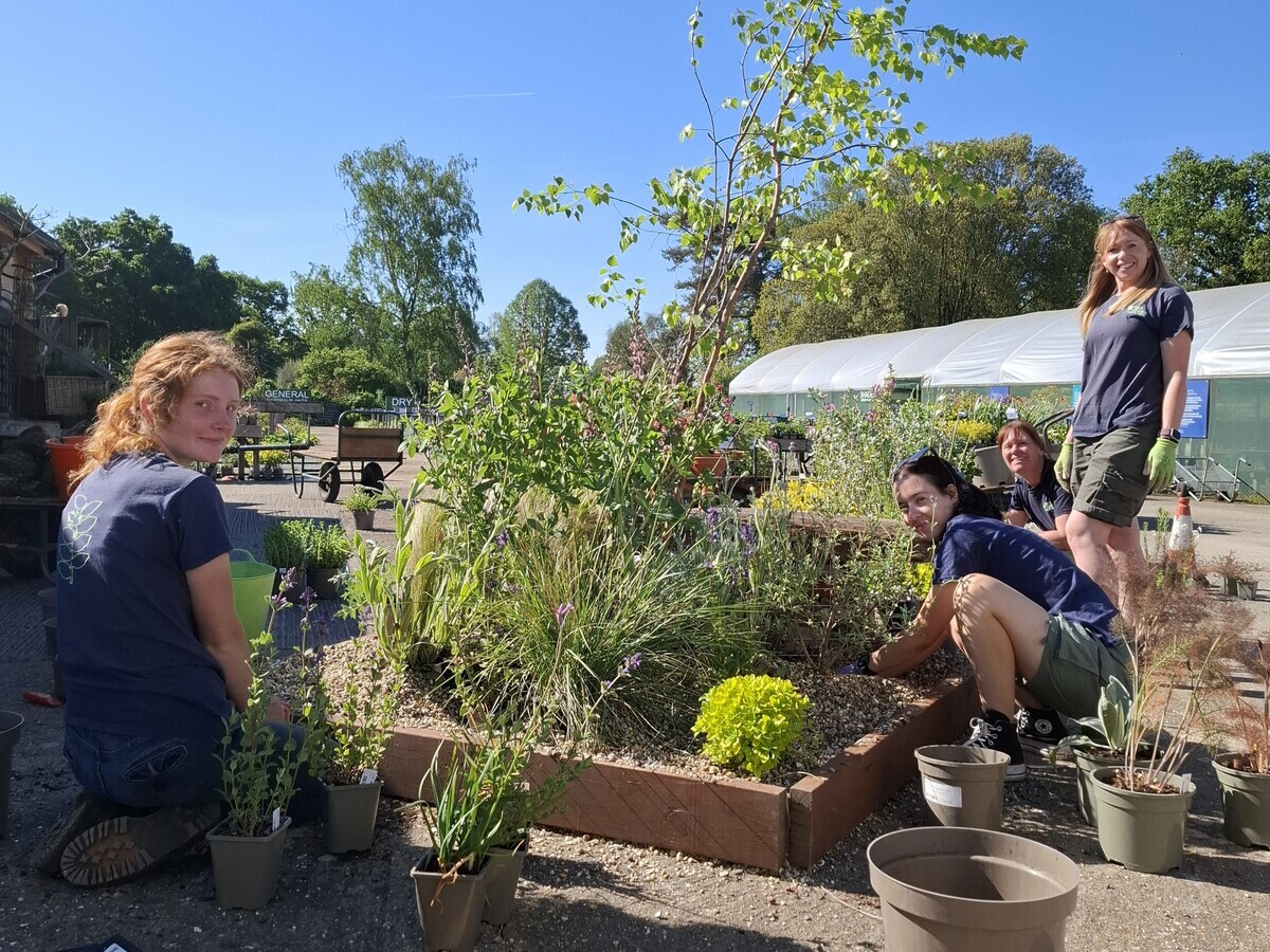 Weekly catch up with gardens & propagation