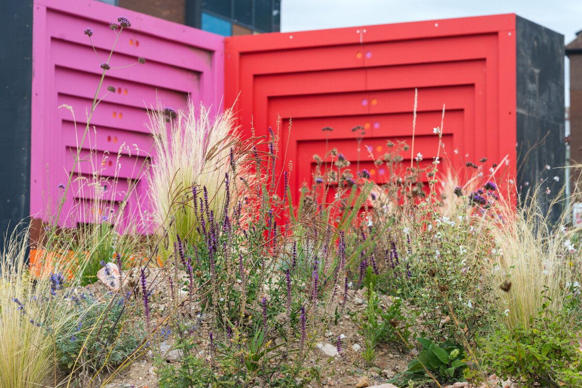 Wildlife at the heart of the City:  the Beth Chatto Meanwhile Garden   