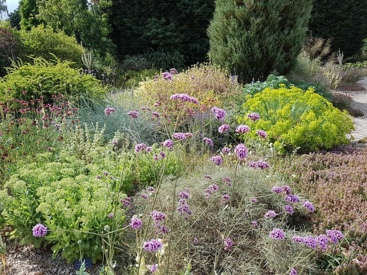 How the gardens are coping in these extreme conditions