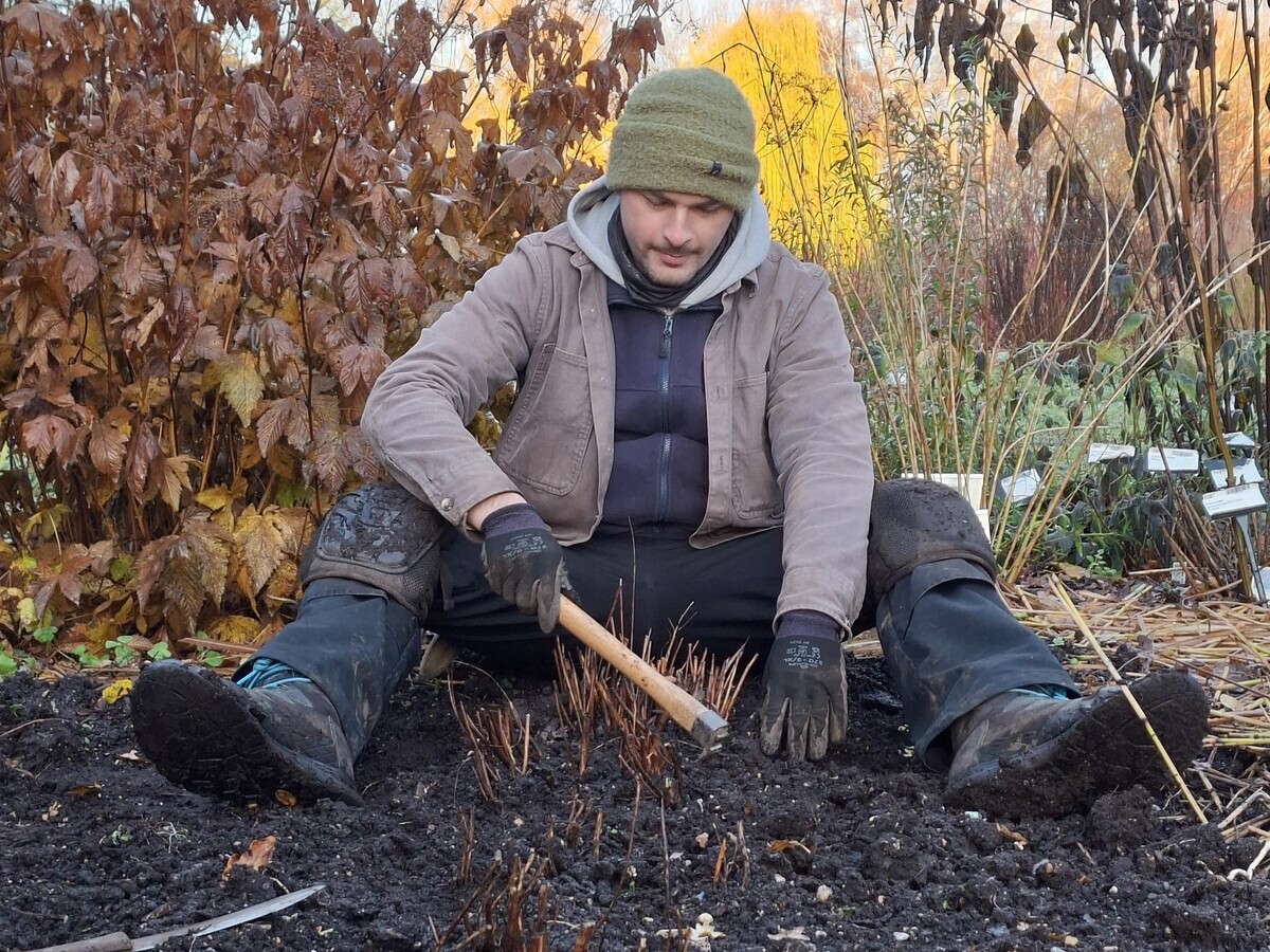 Weekly catch up with garden & propagation