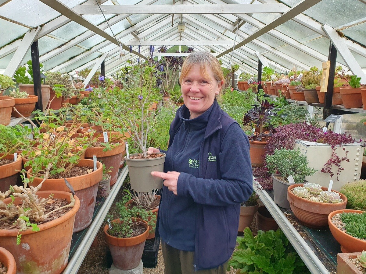 Our Propagation Expert Emily's Favourite Tools