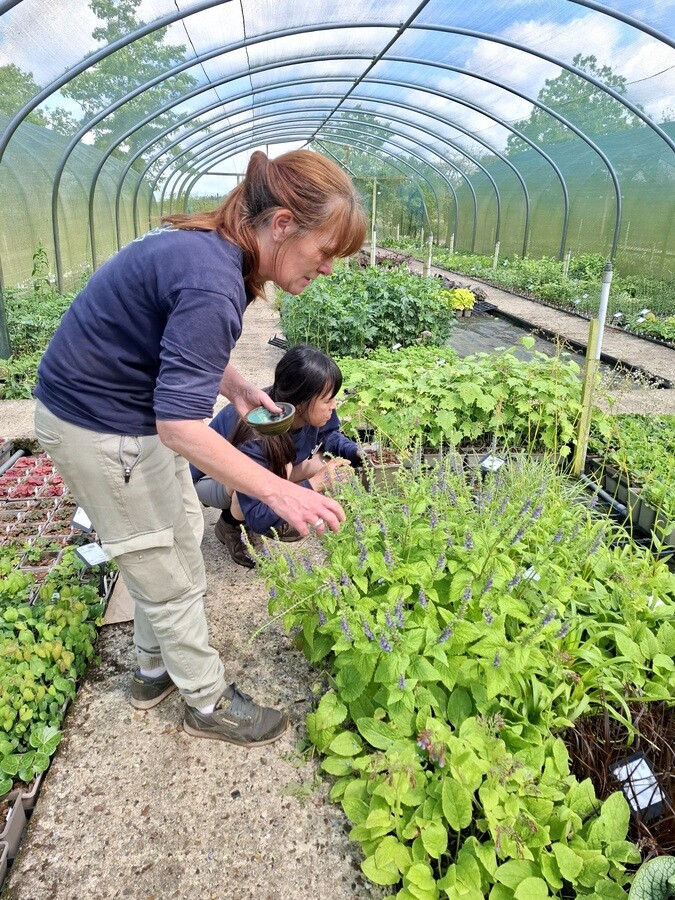 Weekly catch up with propagation
