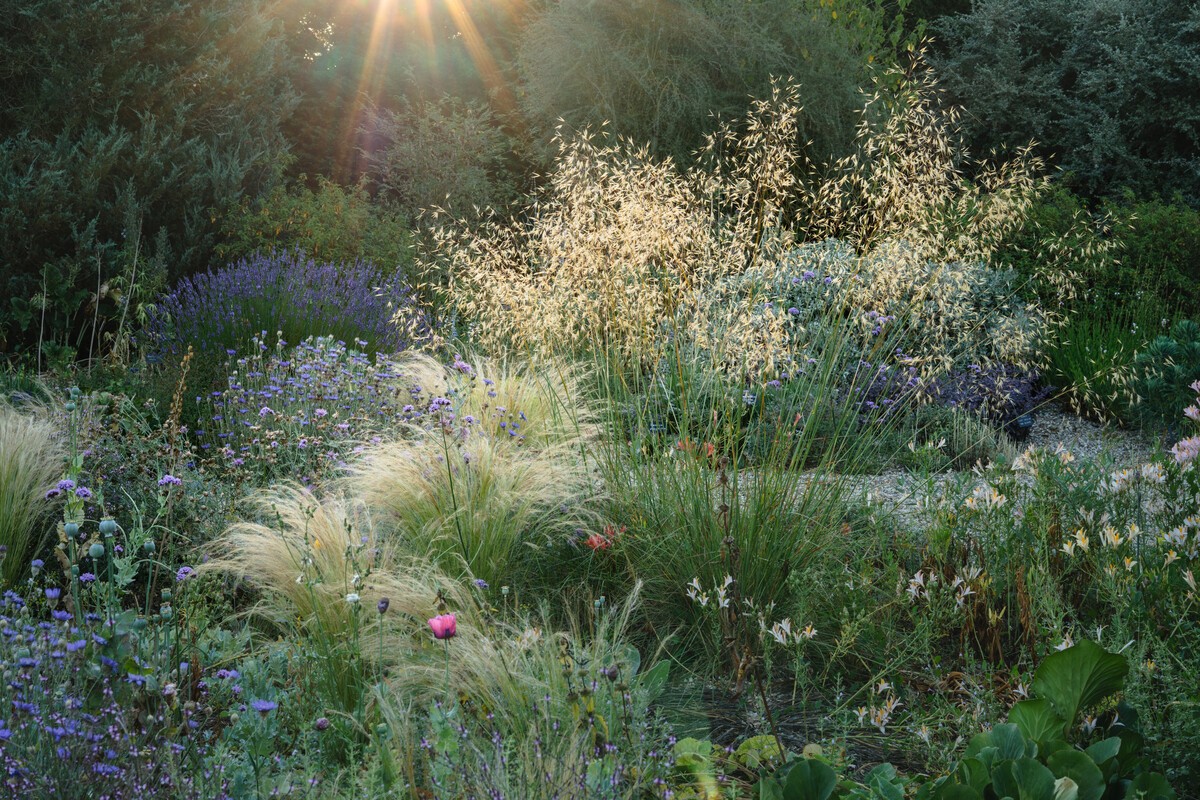 Listening to the Garden 