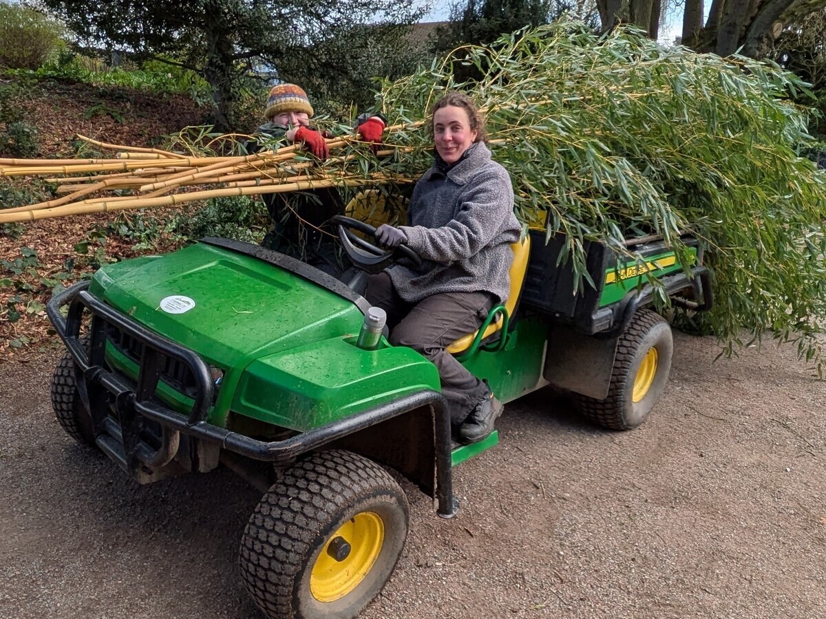 Weekly catch up with garden & propagation