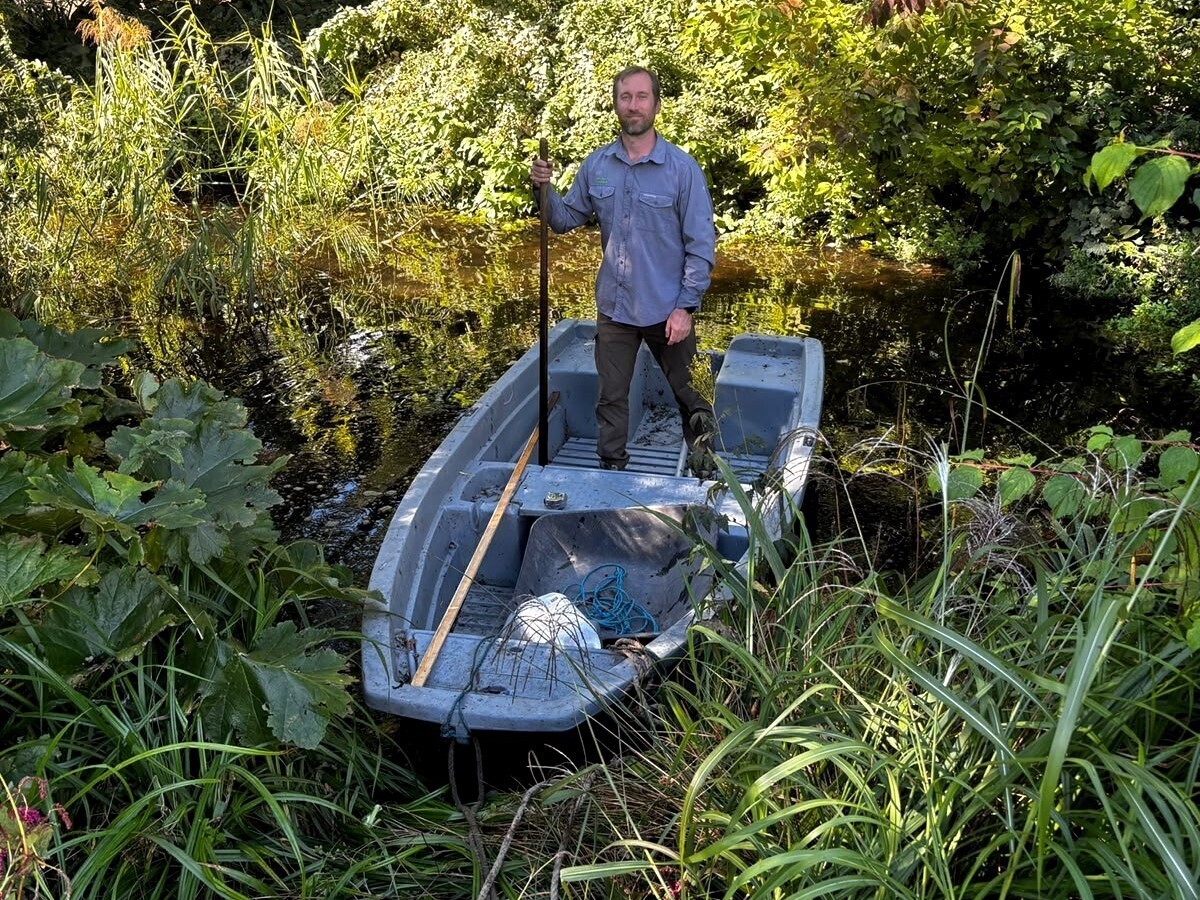 Weekly catch up with garden and propagation