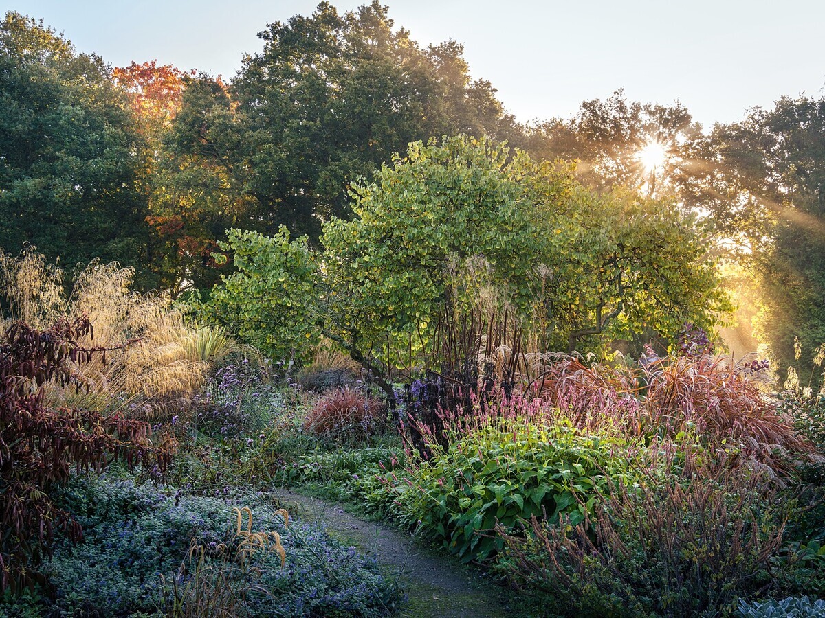 Planting in autumn