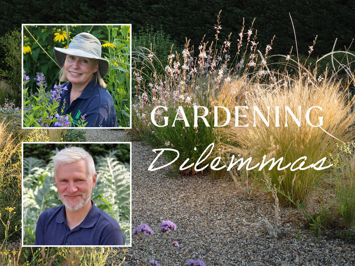 Gardening Dilemmas - Part 1