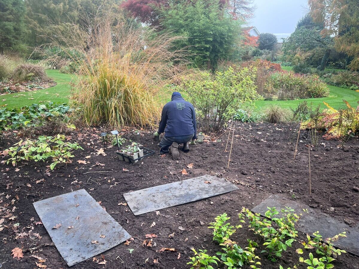 Autumn Planting: helping gardeners adapt to a changing climate