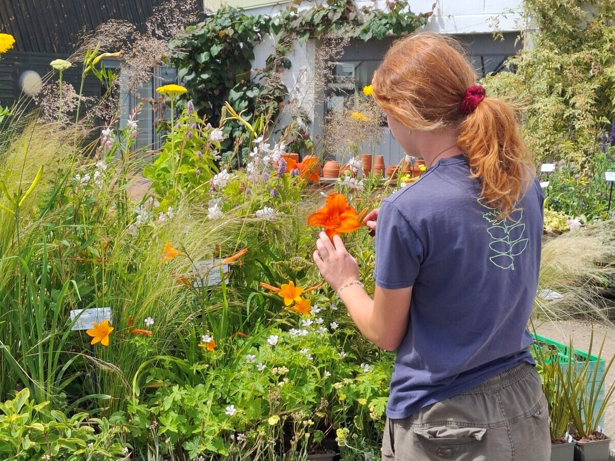 Weekly catch up with garden & propagation