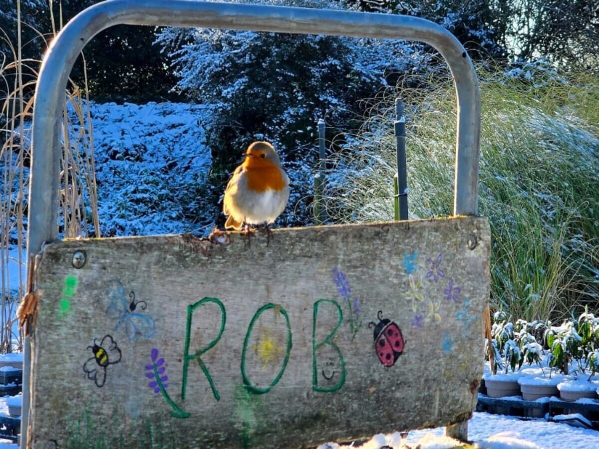 Wild Words from the Ground - December/January