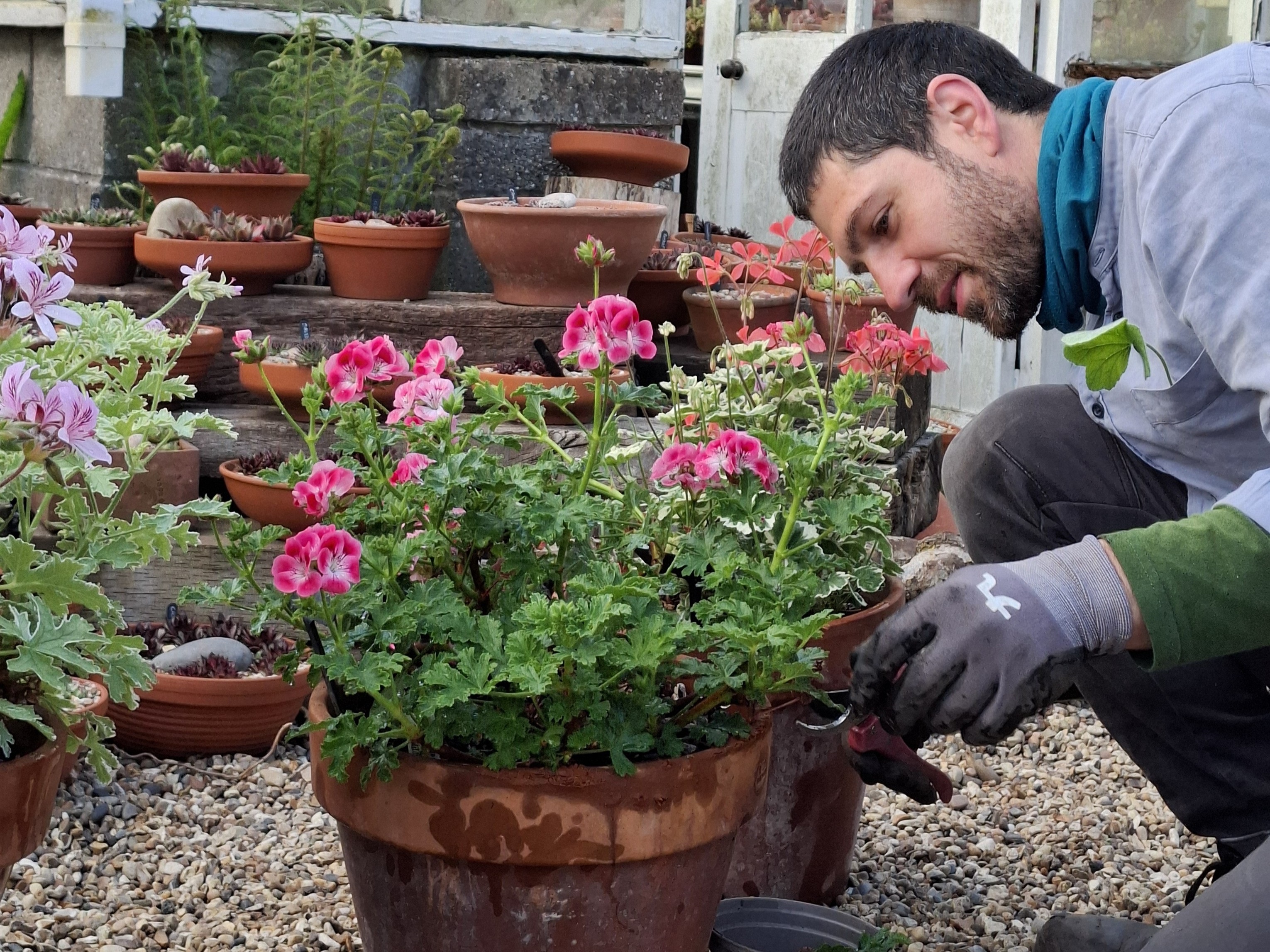 Weekly catch up with garden & propagation