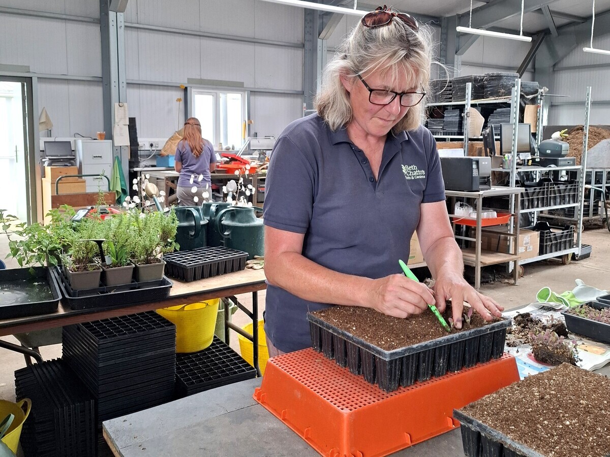Weekly catch up with garden & propagation