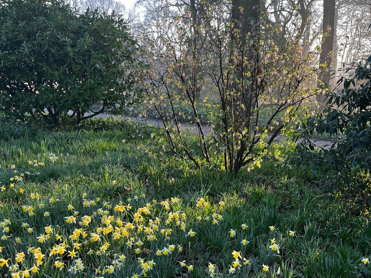 Weekly catch up with garden & propagation