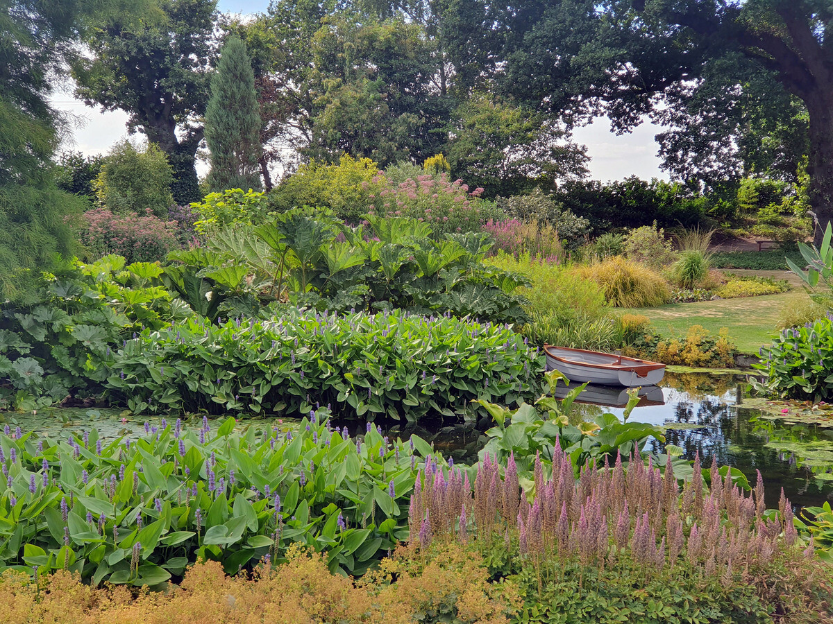 Renovation Work in the Water Garden