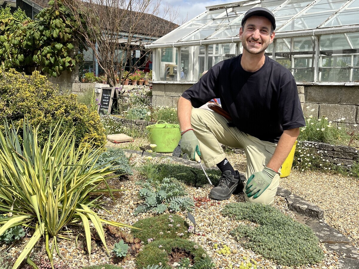Weekly catch up with garden & propagation