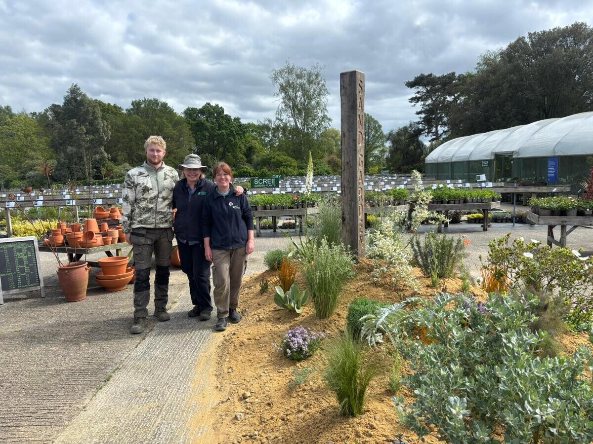 Weekly catch up with garden and propagation