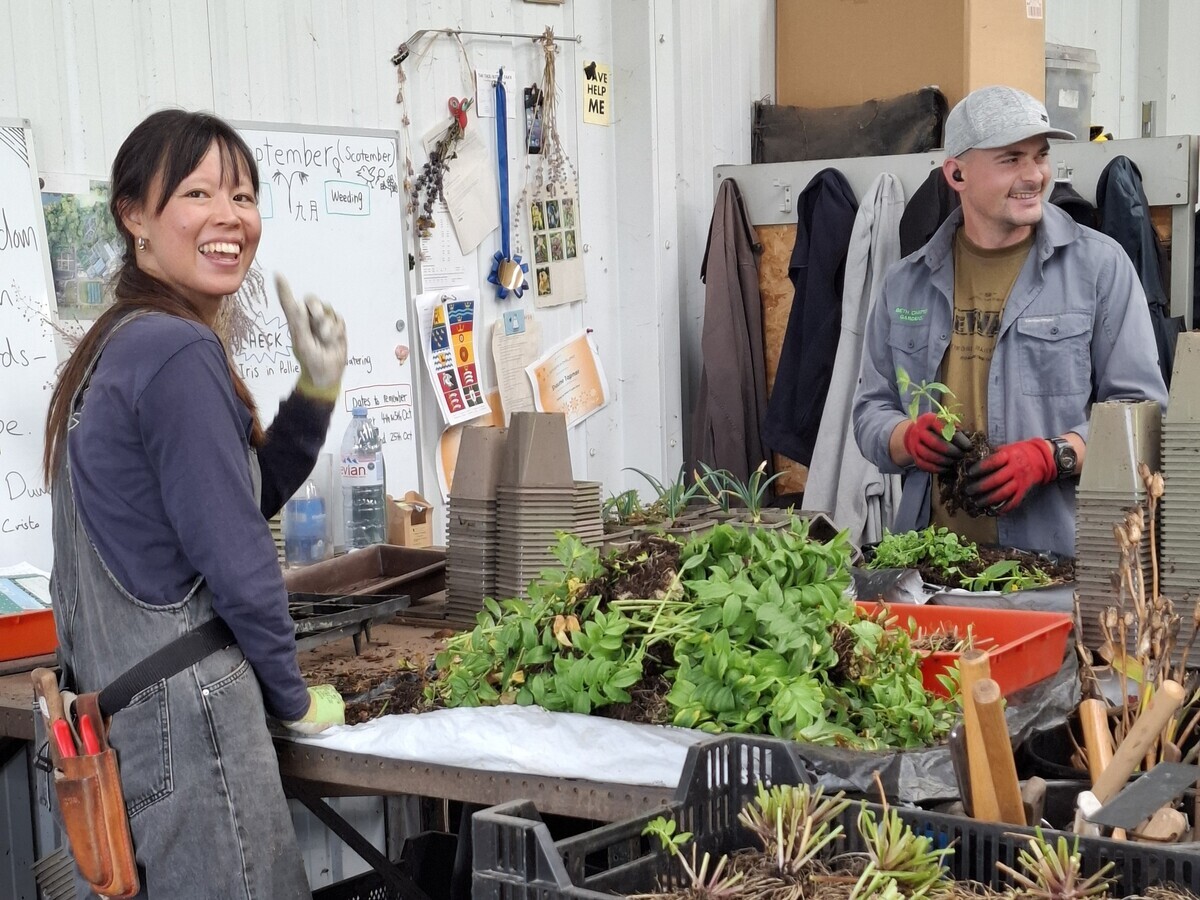Weekly catch up with garden & propagation