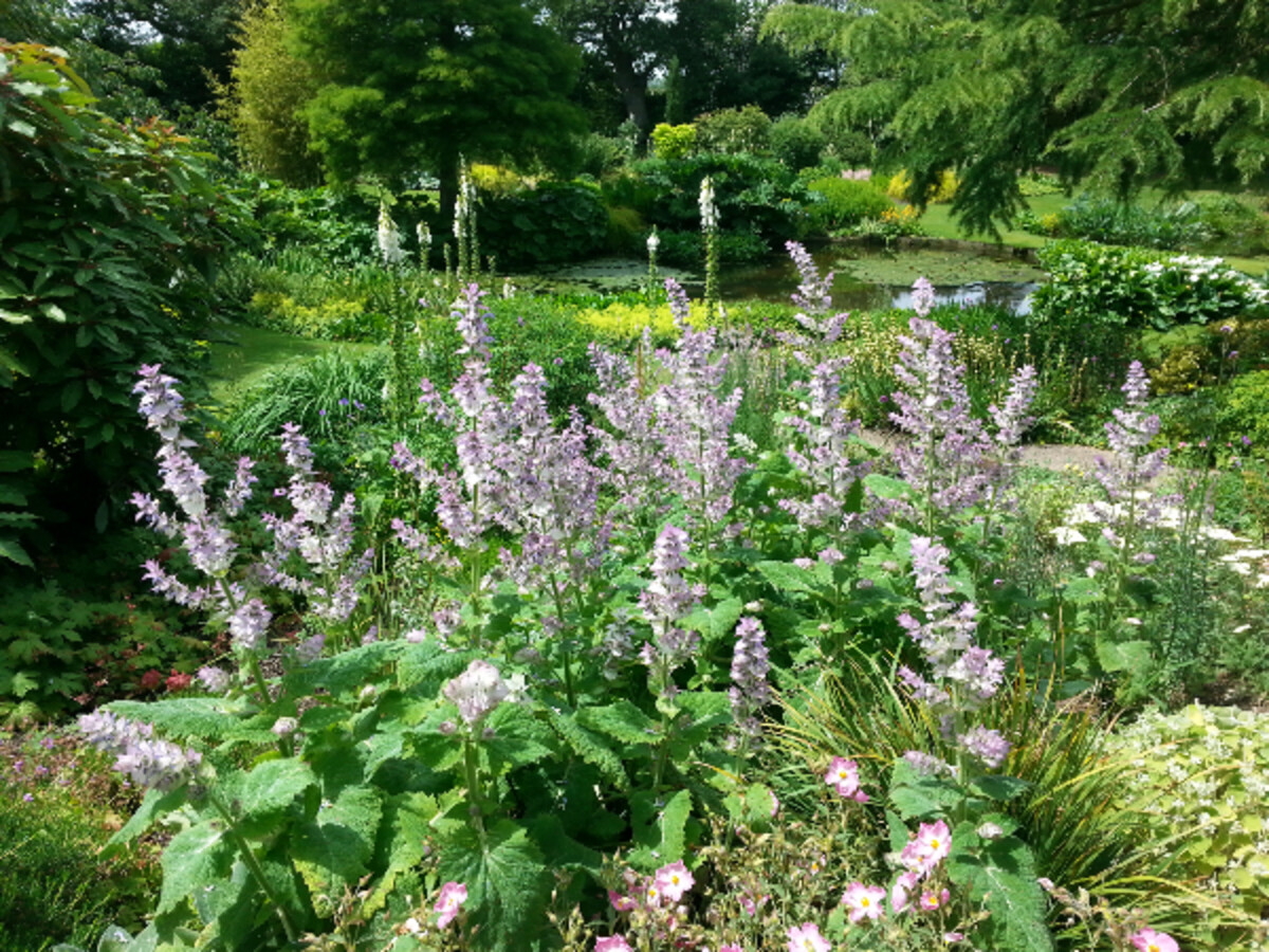 July Newsletters