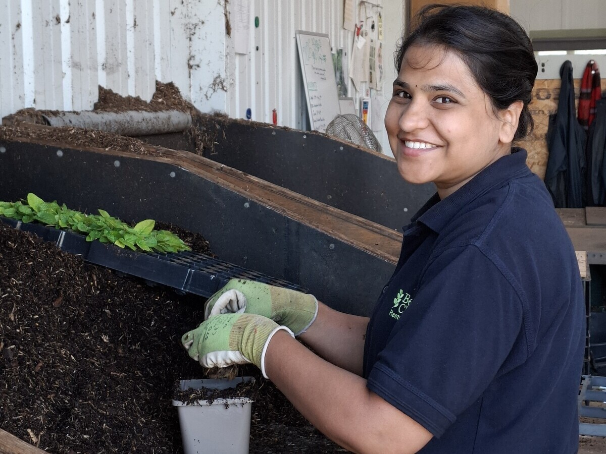 Weekly catch up with garden and propagation