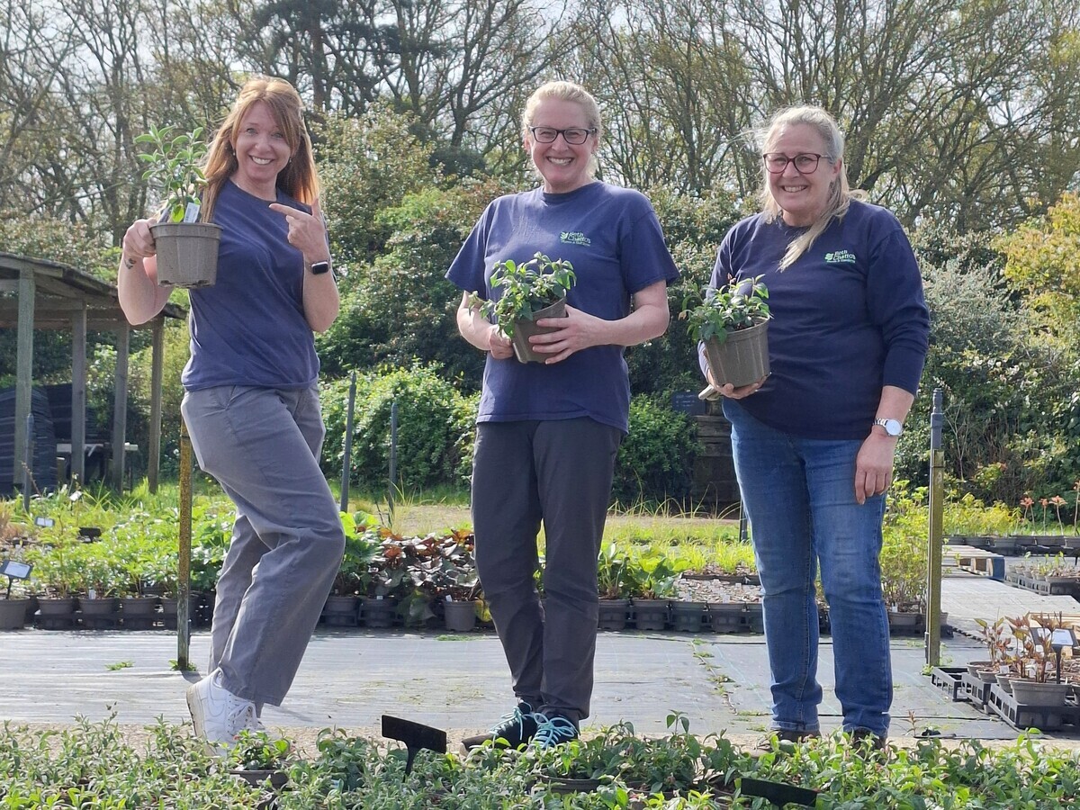 Weekly catch up with garden & propagation