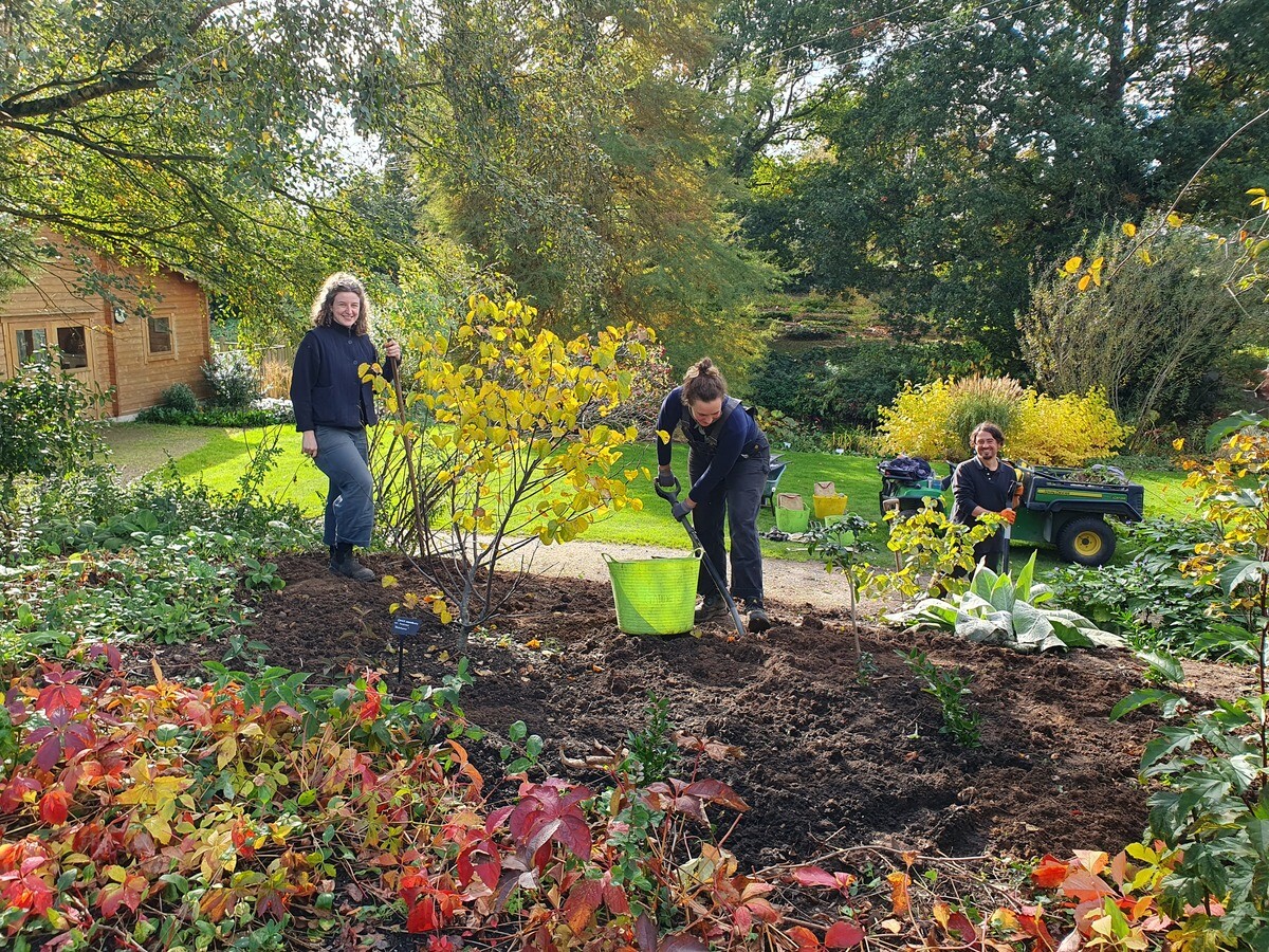 Weekly catch up with garden & propagation