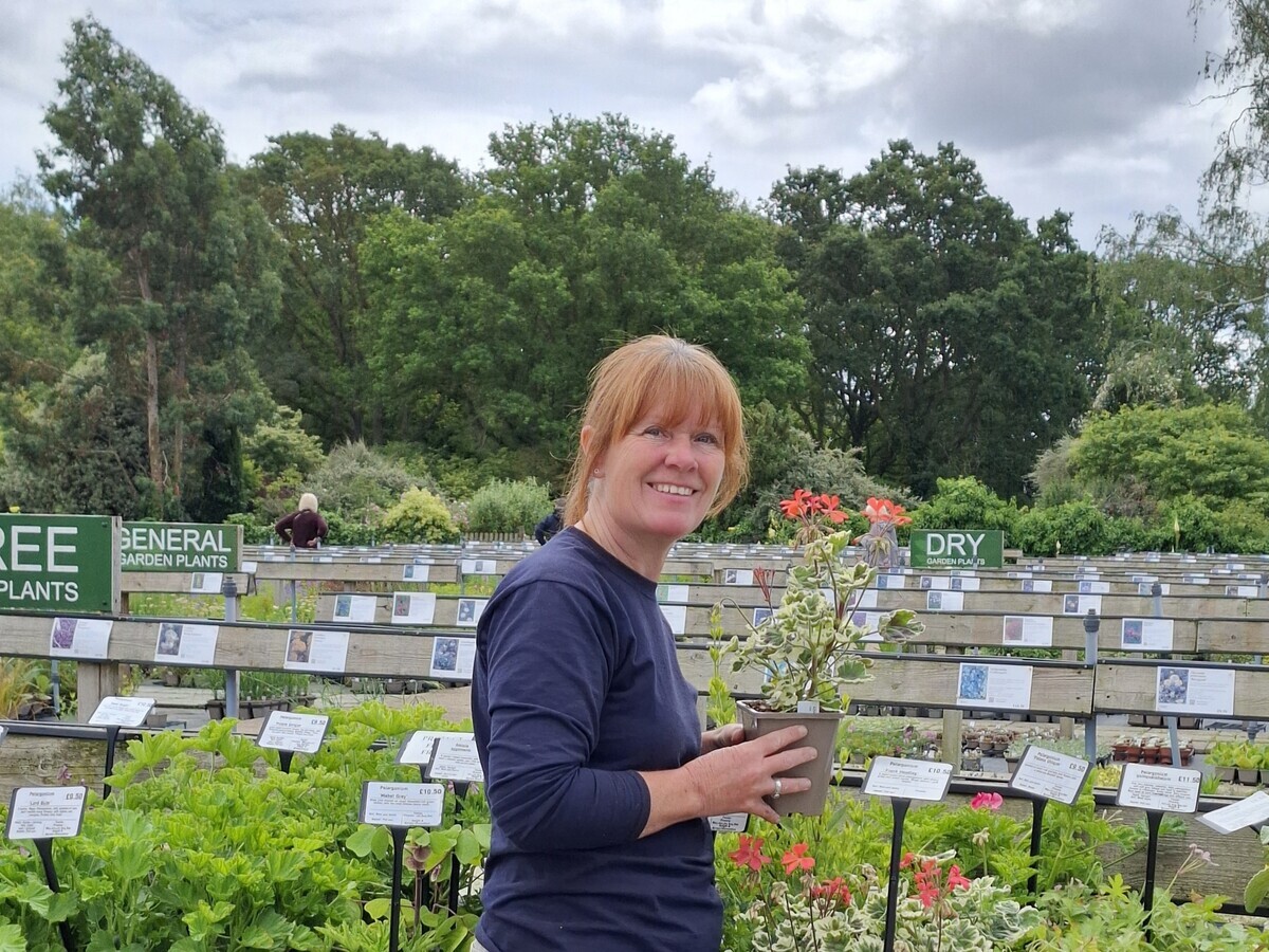 Weekly catch up with garden and propagation