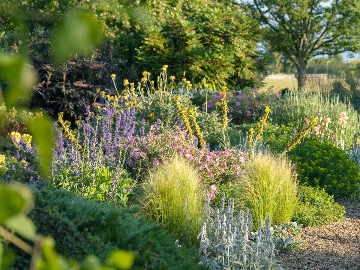 Team Chatto's favourite plants