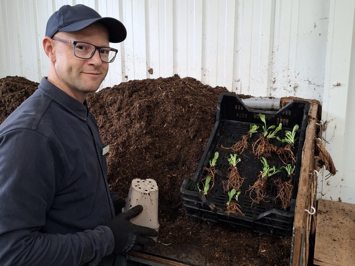 Weekly catch up with garden and propagation