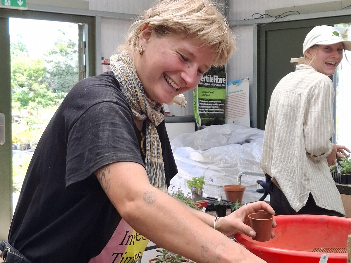Weekly catch up with garden and propagation