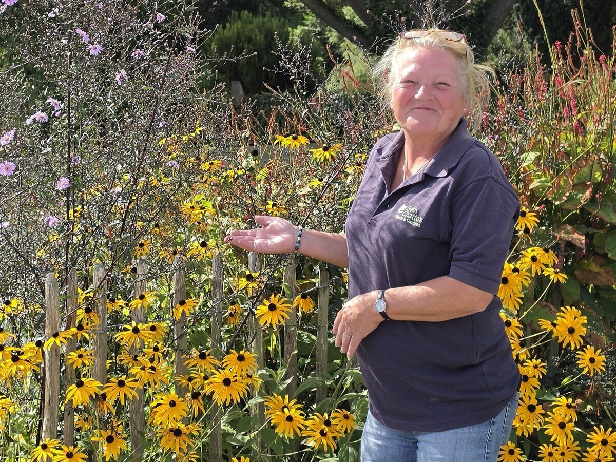 Weekly catch up with garden and propagation