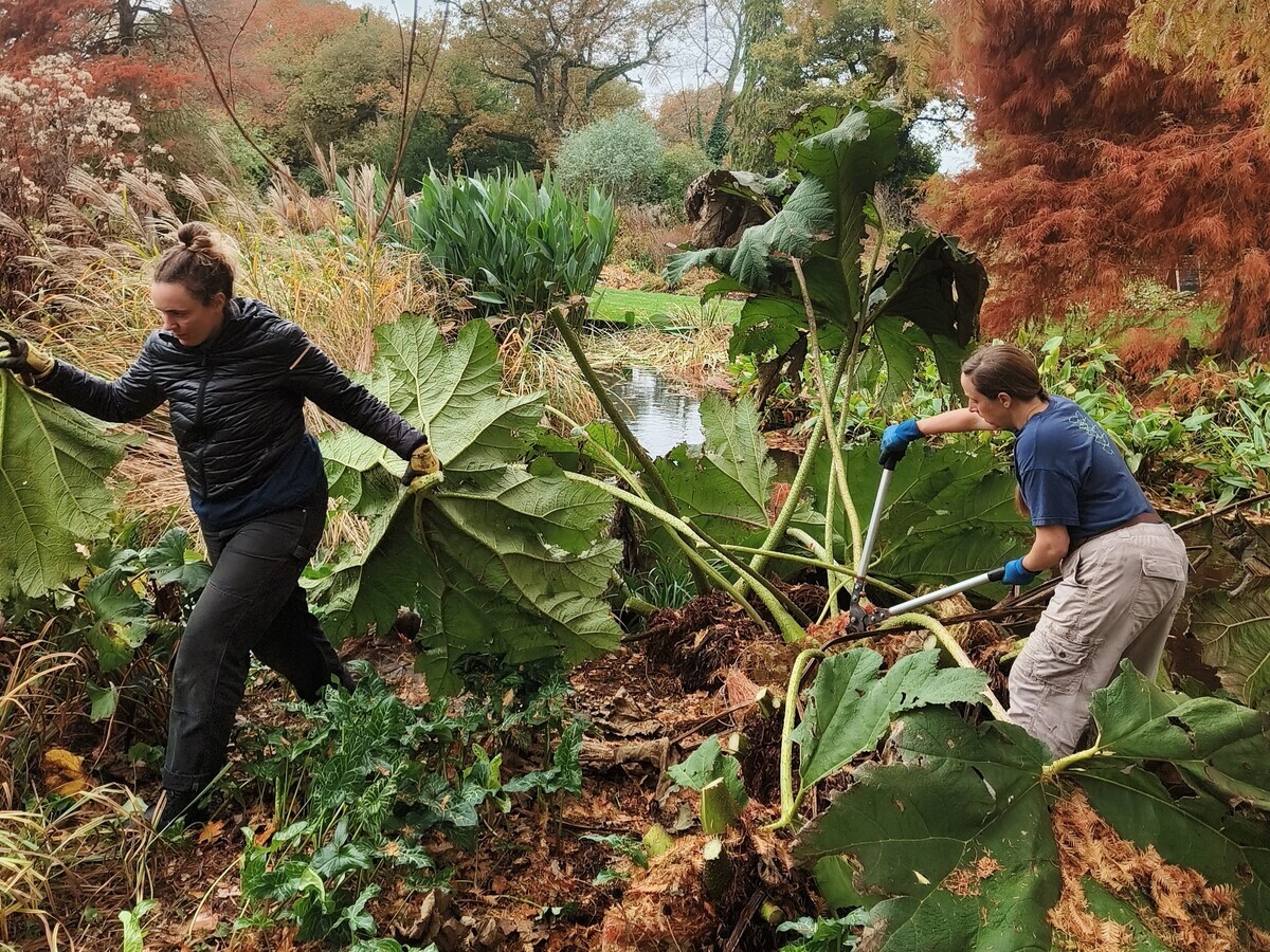 Weekly catch up with garden & propagation