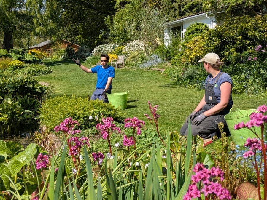 Weekly catch up with garden & propagation