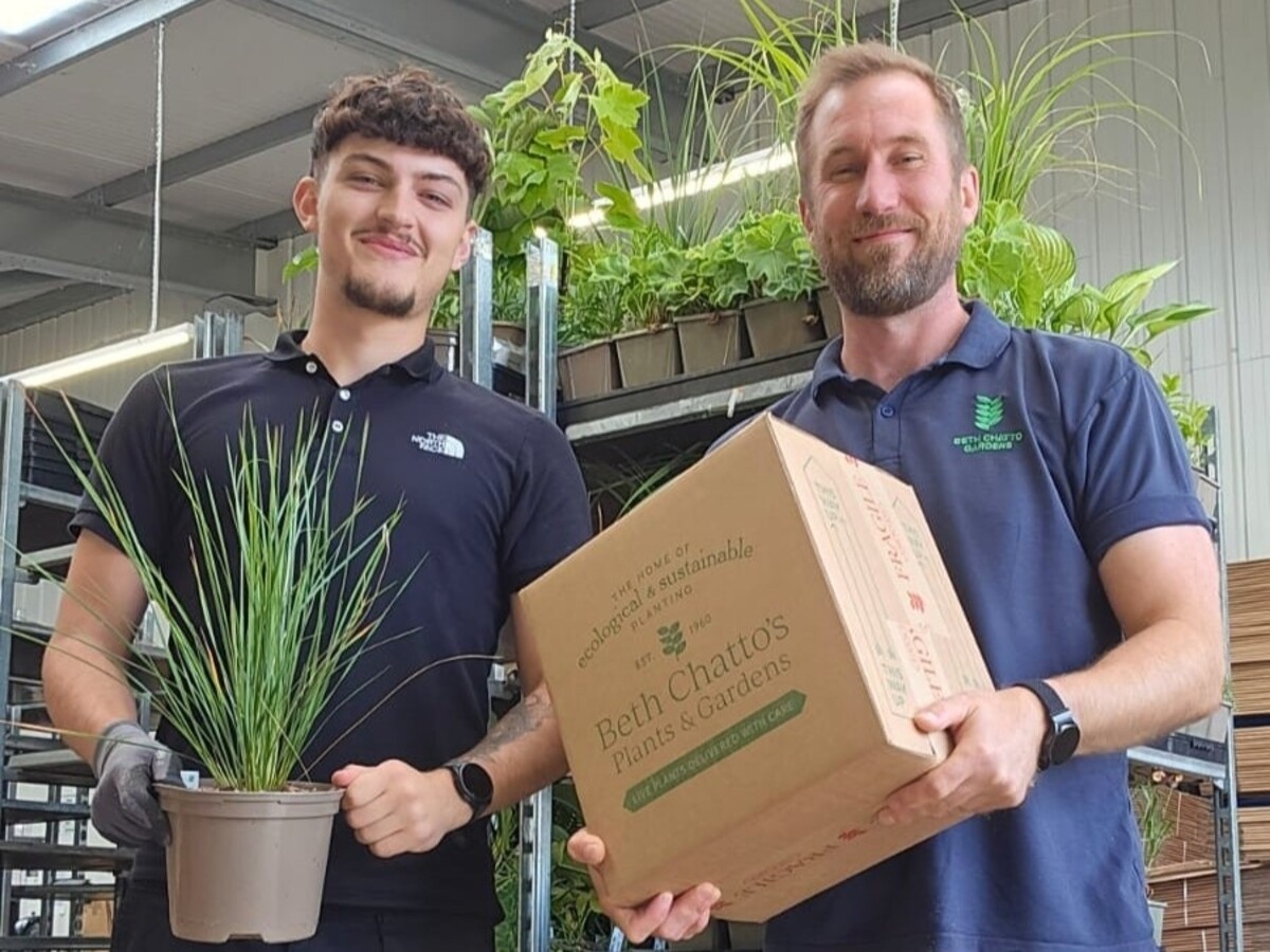 Weekly catch up with garden & propagation