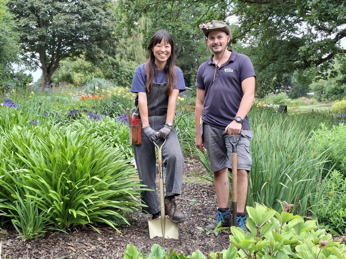Weekly catch up with garden & propagation