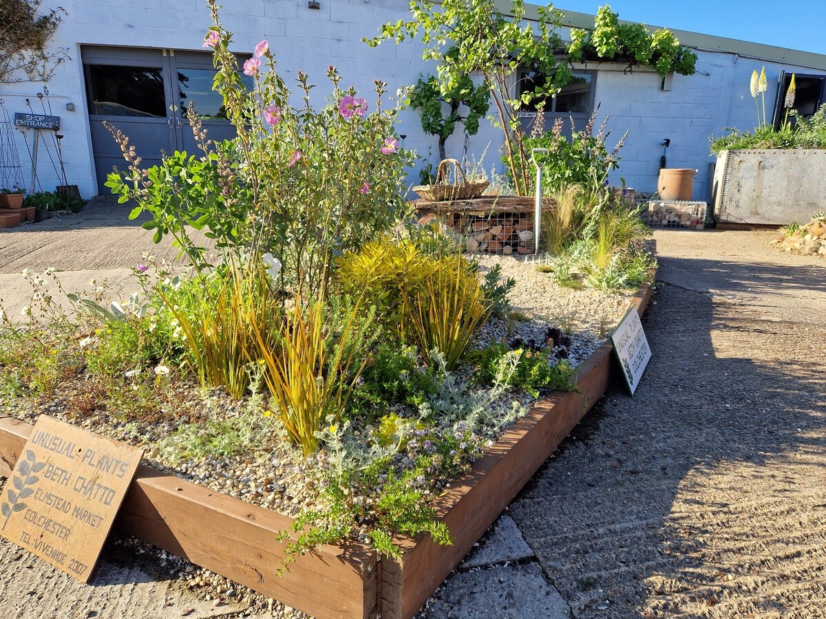 Our Chelsea inspired garden display