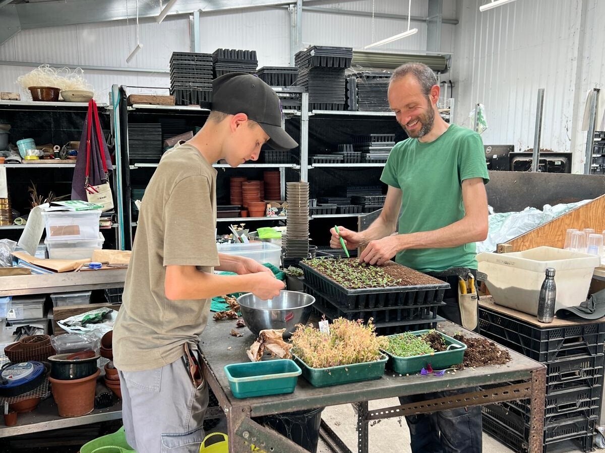 Weekly catchup with garden and propagation