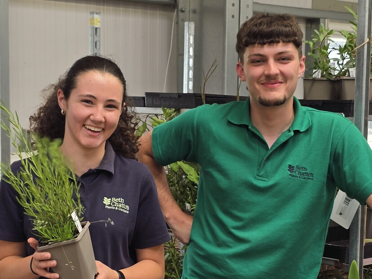 Weekly catch up with garden and propagation