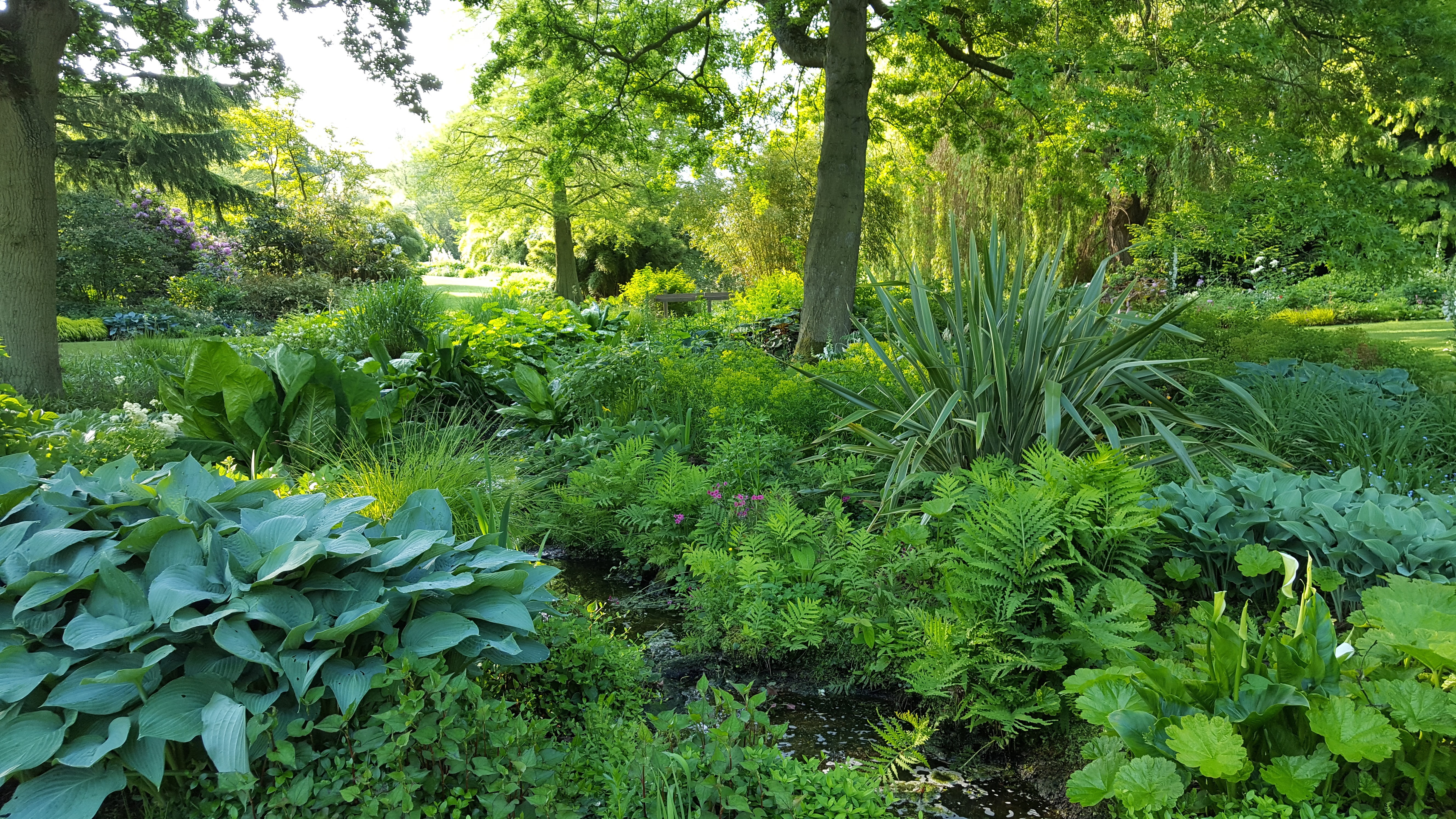 Fabulous foliage